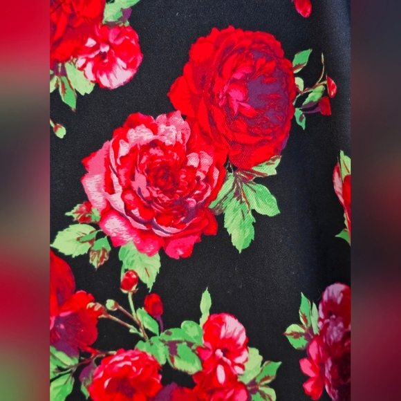 Pioneer Woman Half Sleeve Butter Soft Black, Green & Red Rose Floral Vneck Top - Picture 8 of 10